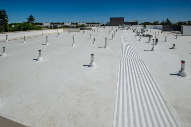 Best Roof Moss and Algae Removal  in Ottawa Hills, OH